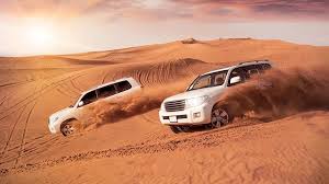 Desert Safari: Complete Guide for First-Time Visitors